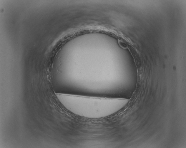 X0000066101495200603100925