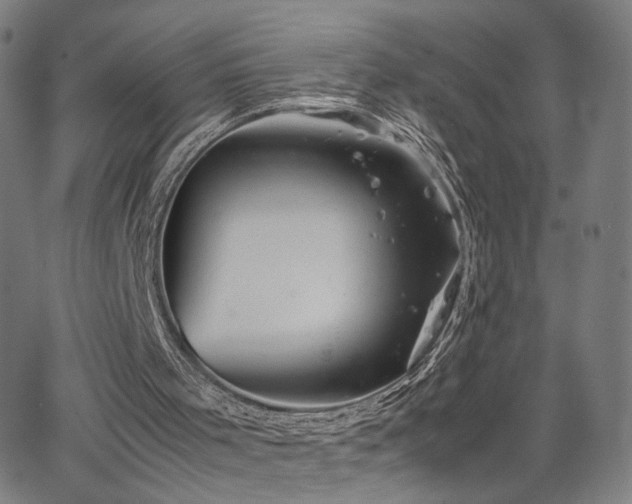 X0000066100001200603101153