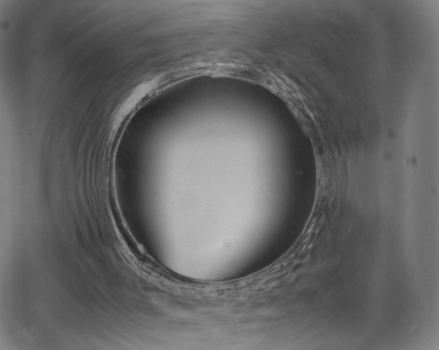 X0000066100003200603101153