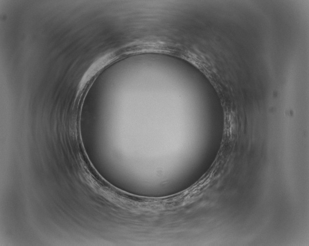 X0000066100004200603101153