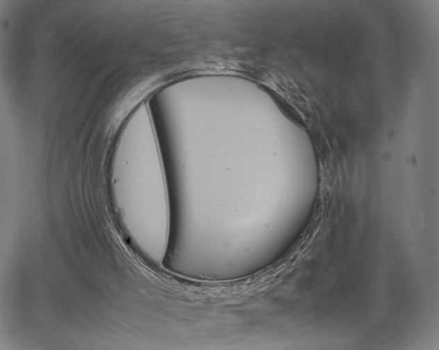 X0000066100005200603101153