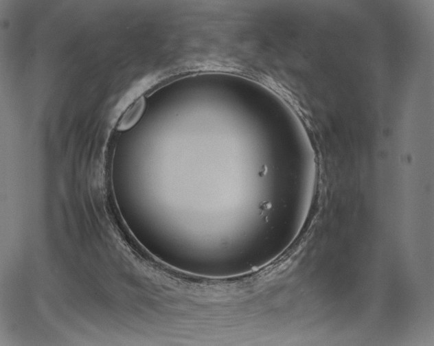 X0000066100008200603101153