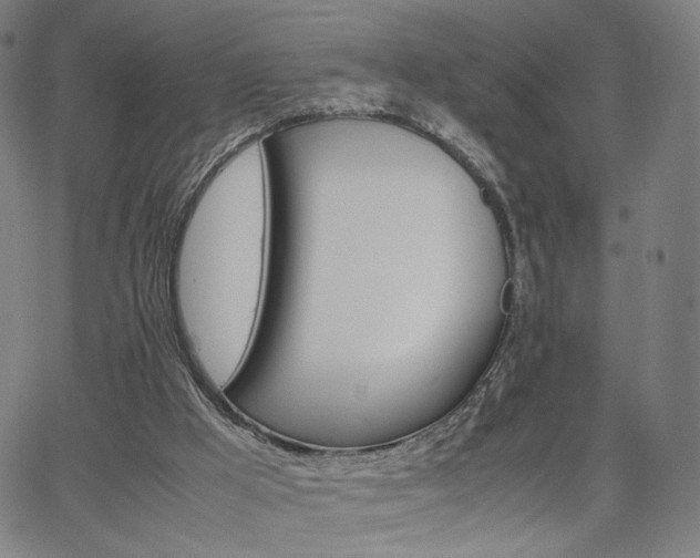 X0000066100009200603101153