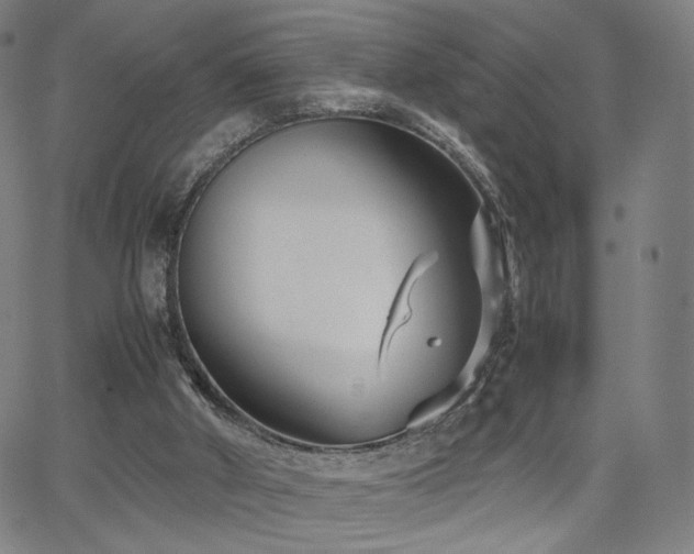 X0000066100010200603101153