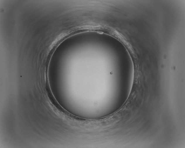 X0000066100011200603101152