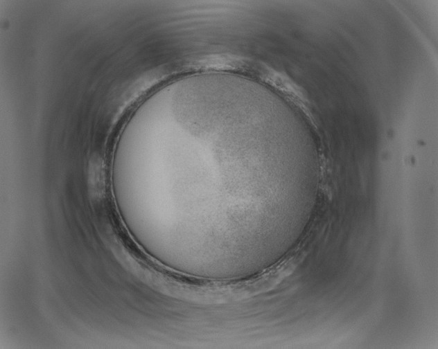 X0000066100012200603101152