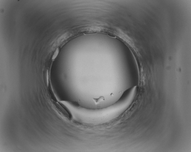 X0000066100013200603101152