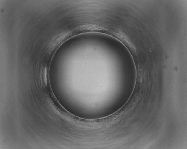 X0000066100014200603101152