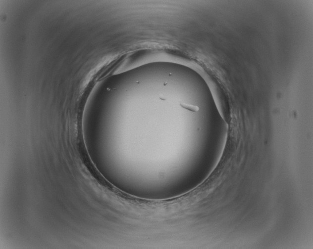 X0000066100015200603101152