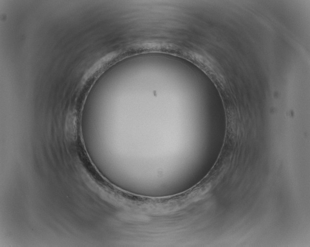 X0000066100016200603101152