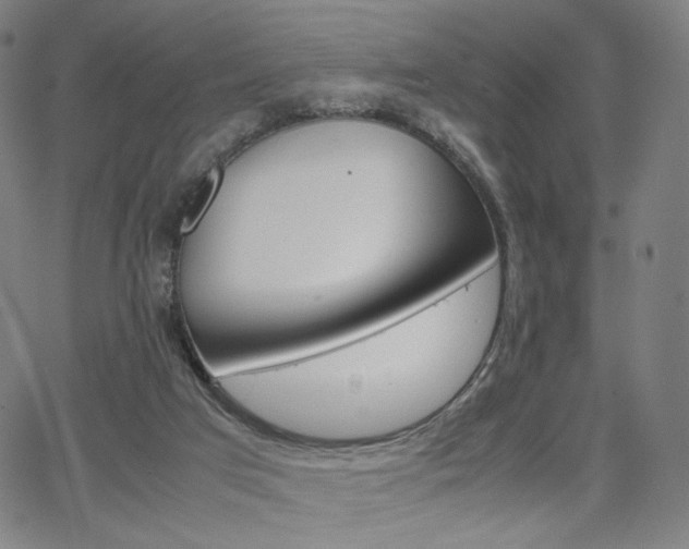 X0000066100017200603101152