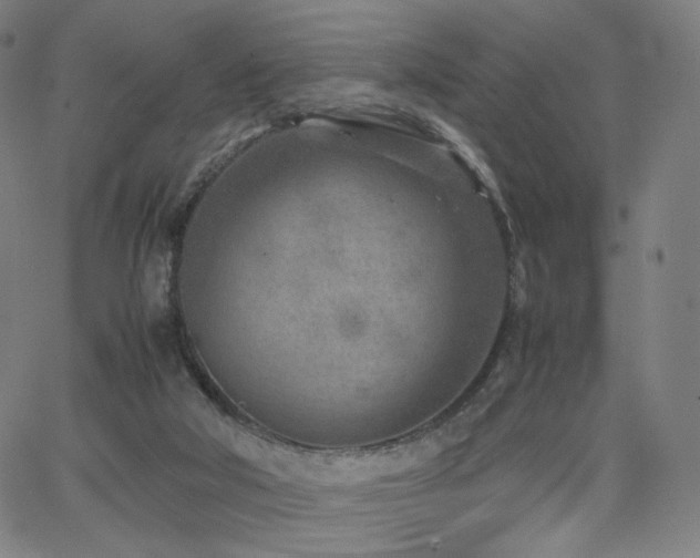 X0000066100018200603101152