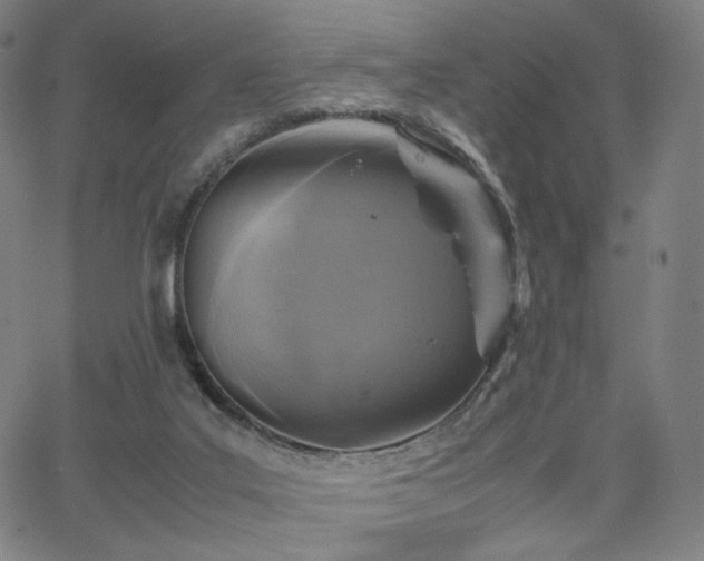 X0000066100019200603101152