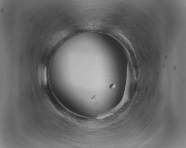 X0000066100020200603101152