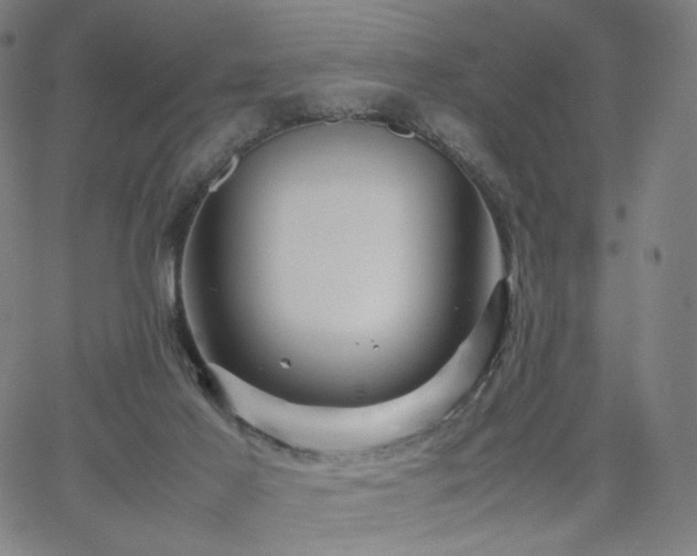 X0000066100021200603101152