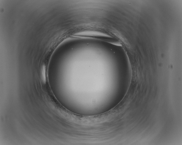 X0000066100022200603101152