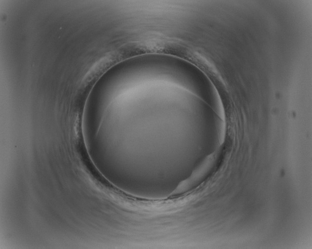 X0000066100023200603101152