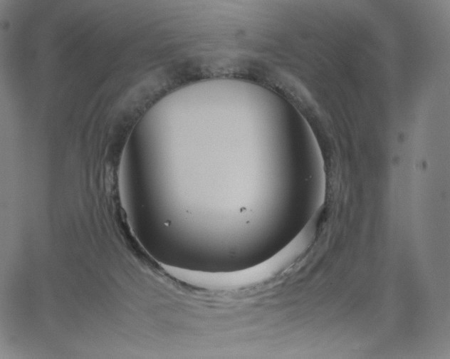 X0000066100025200603101152