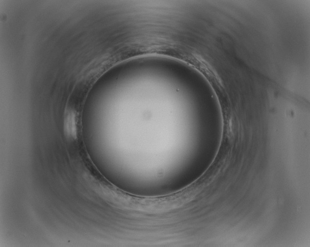 X0000066100026200603101152