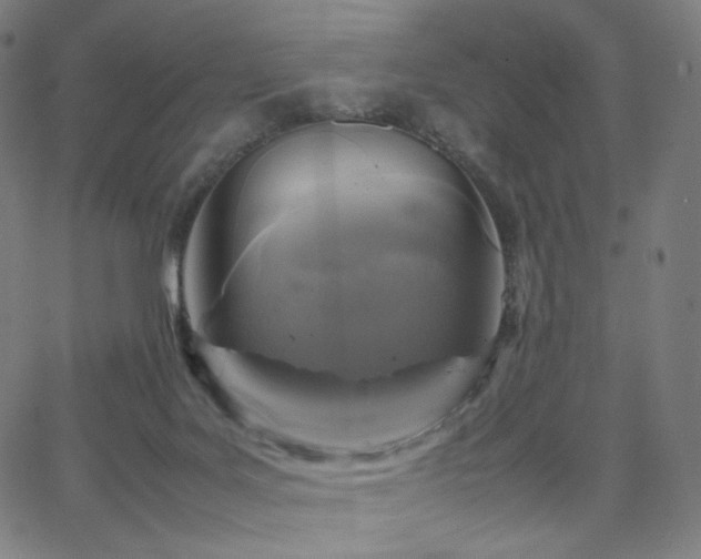 X0000066100027200603101152