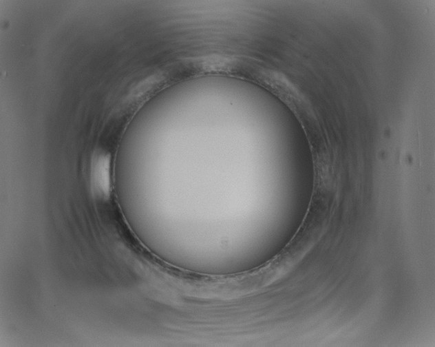 X0000066100028200603101152