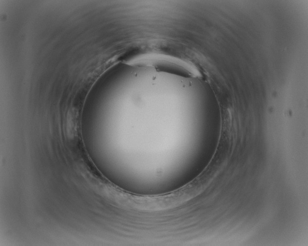 X0000066100030200603101152