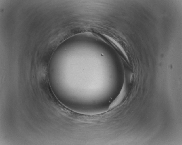 X0000066100033200603101152