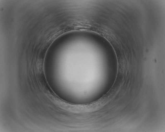 X0000066100034200603101152