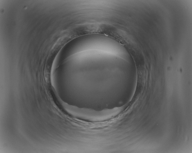 X0000066100035200603101152