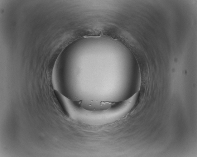 X0000066100037200603101152