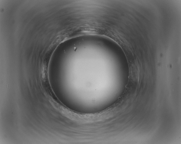 X0000066100038200603101152