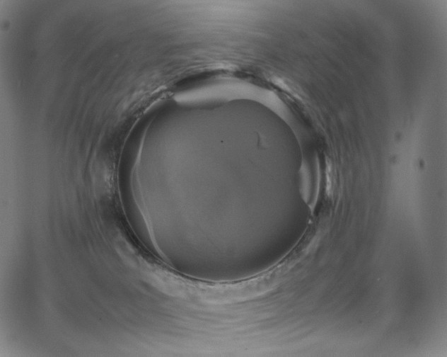 X0000066100039200603101152