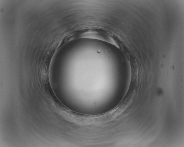 X0000066100040200603101152