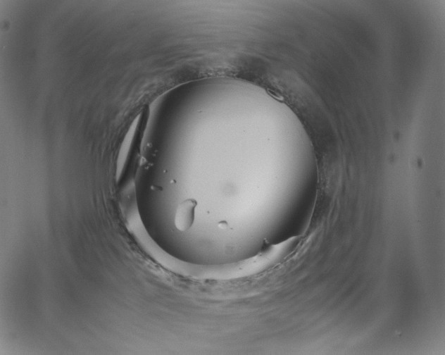 X0000066100041200603101152