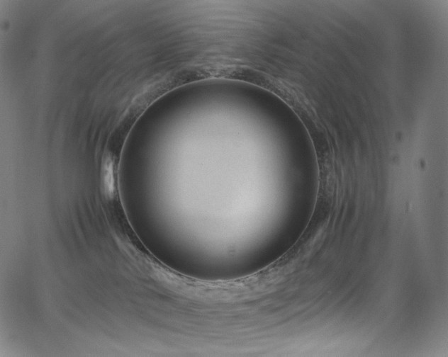 X0000066100042200603101152