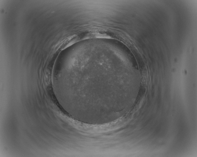 X0000066100043200603101152