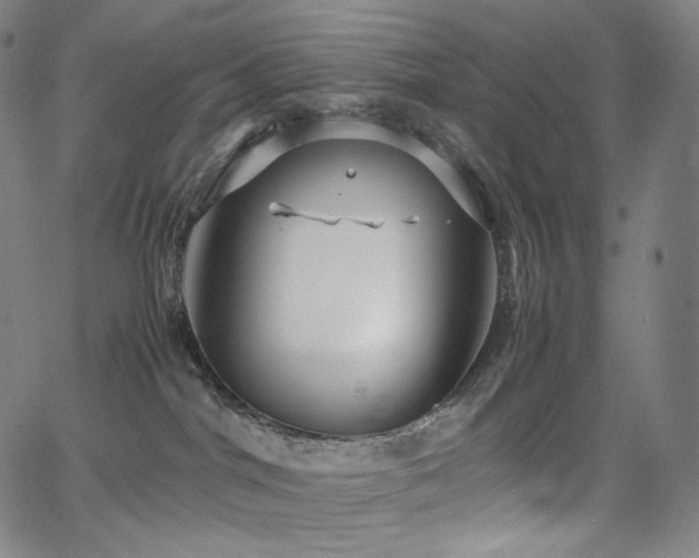 X0000066100044200603101152