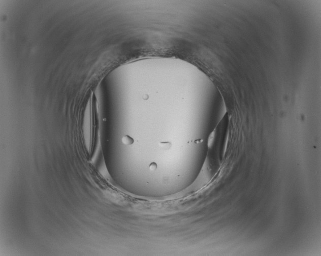 X0000066100045200603101152