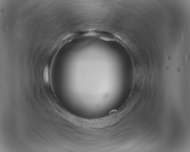 X0000066100046200603101152