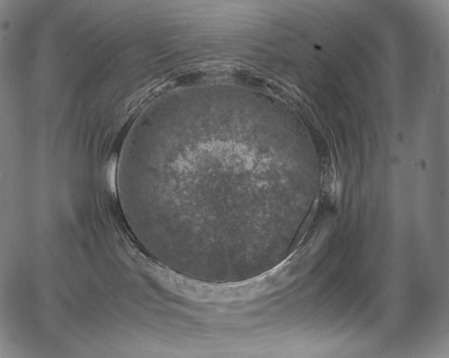 X0000066100047200603101152