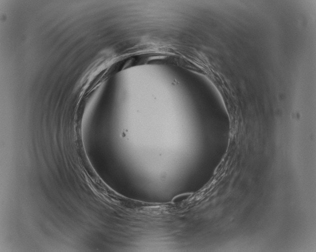 X0000066100050200603101151