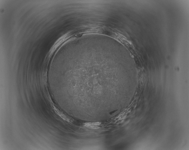 X0000066100051200603101151