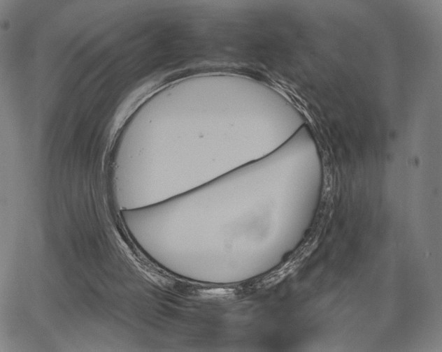 X0000066100053200603101151