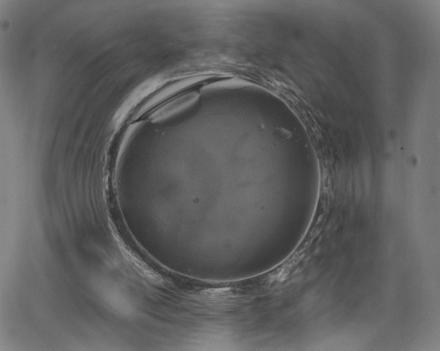 X0000066100054200603101151