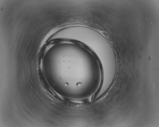 X0000066100056200603101151