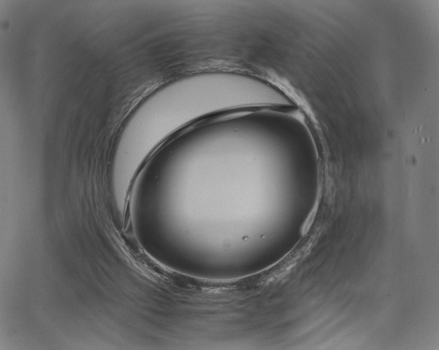 X0000066100057200603101151