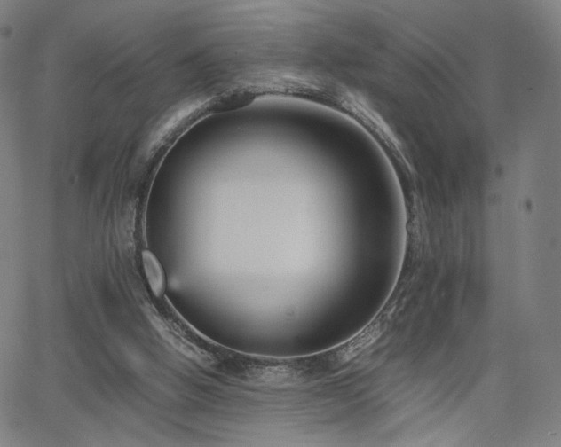 X0000066100058200603101151