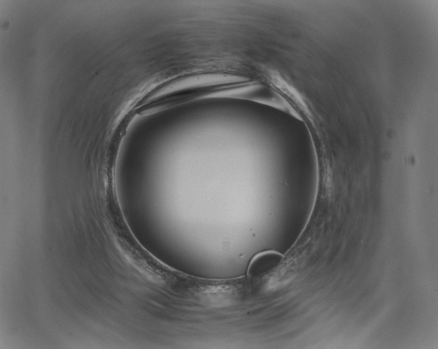 X0000066100059200603101151