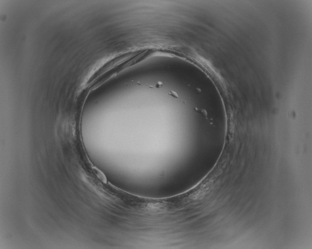 X0000066100060200603101151