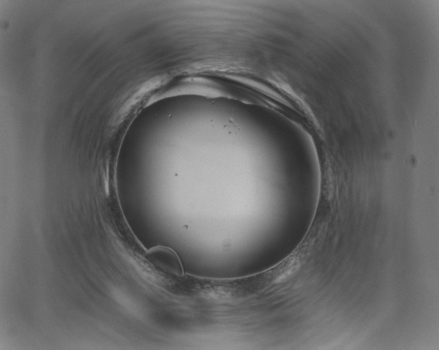 X0000066100062200603101151